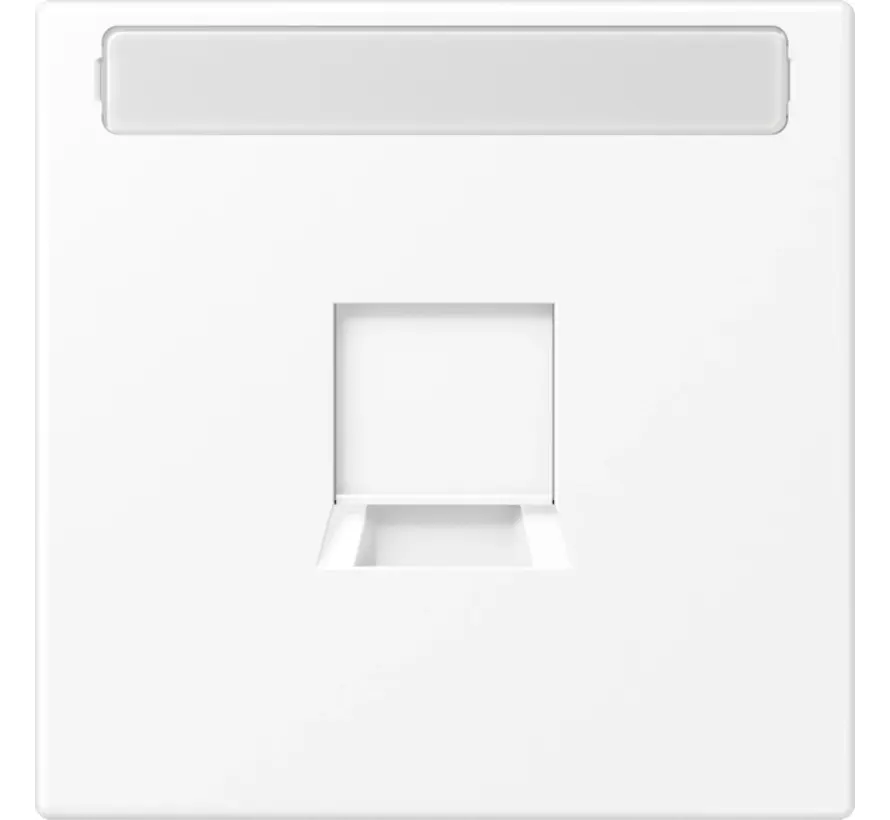Zentralplatte 1-fach modular-jack Beschriftungsfeld LS990 schneeweiß matt (LS 1969-1 NA WE WWM)