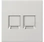 Abdeckung mit Tragplatte 2-fach für Modular Jack LS990 hellgrau (LS 1969-2 WE LG)