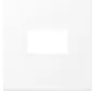 Zentralplatte Klick-Bestätigung für USB-Ladestation LS990 schneeweiß matt (LS 1969 USB WWM)