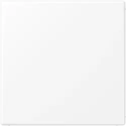 JUNG Zentralplatte Blindabdeckung LS990 schneeweiß matt (LS 994 B WWM)