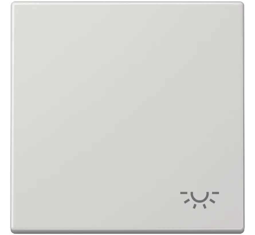 Wippe symbol Licht LS990 hellgrau (LS 990 L LG)