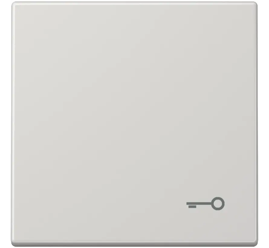 Wippe symbol Schlüssel LS990 hellgrau (LS 990 T LG)