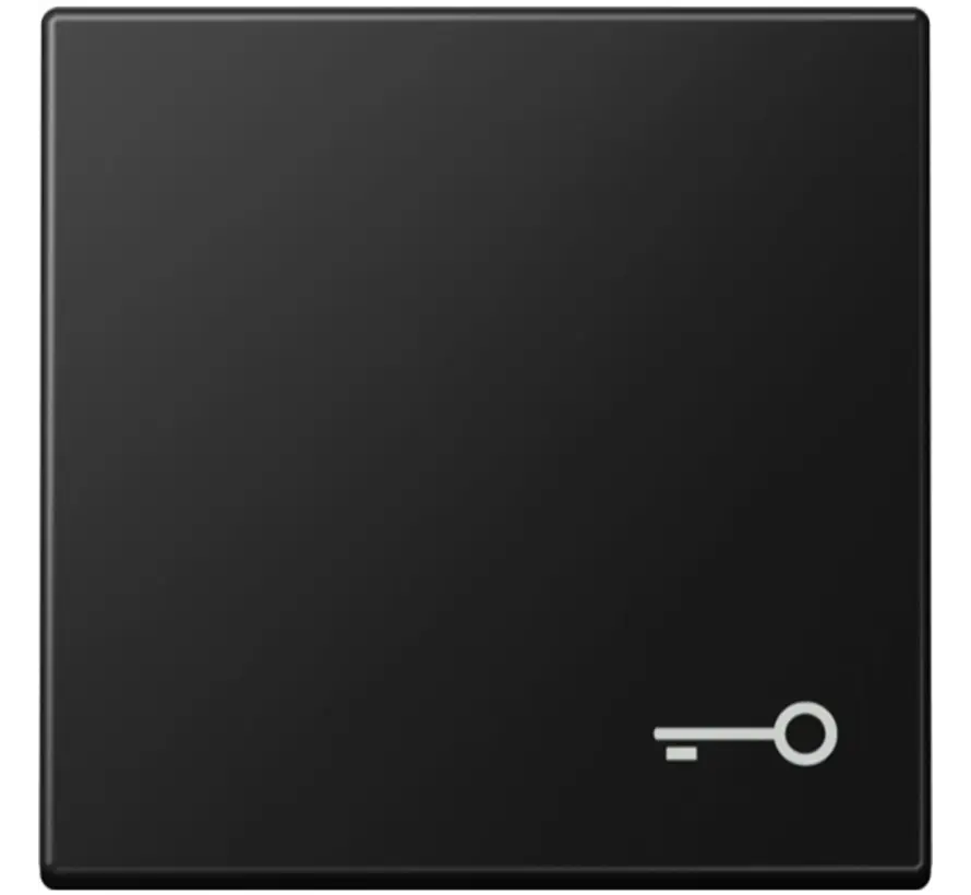 Wippe mit symbol Schlüssel A-range graphitschwarz matt (A 590 T SWM)