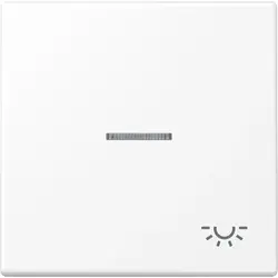 JUNG Wippe symbol Licht Kontrollfenster LS990 schneeweiß matt (LS 990 KO5 L WWM)