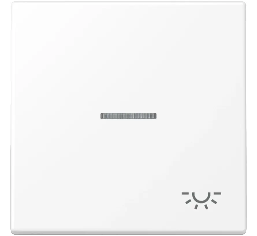 Wippe symbol Licht Kontrollfenster LS990 schneeweiß matt (LS 990 KO5 L WWM)