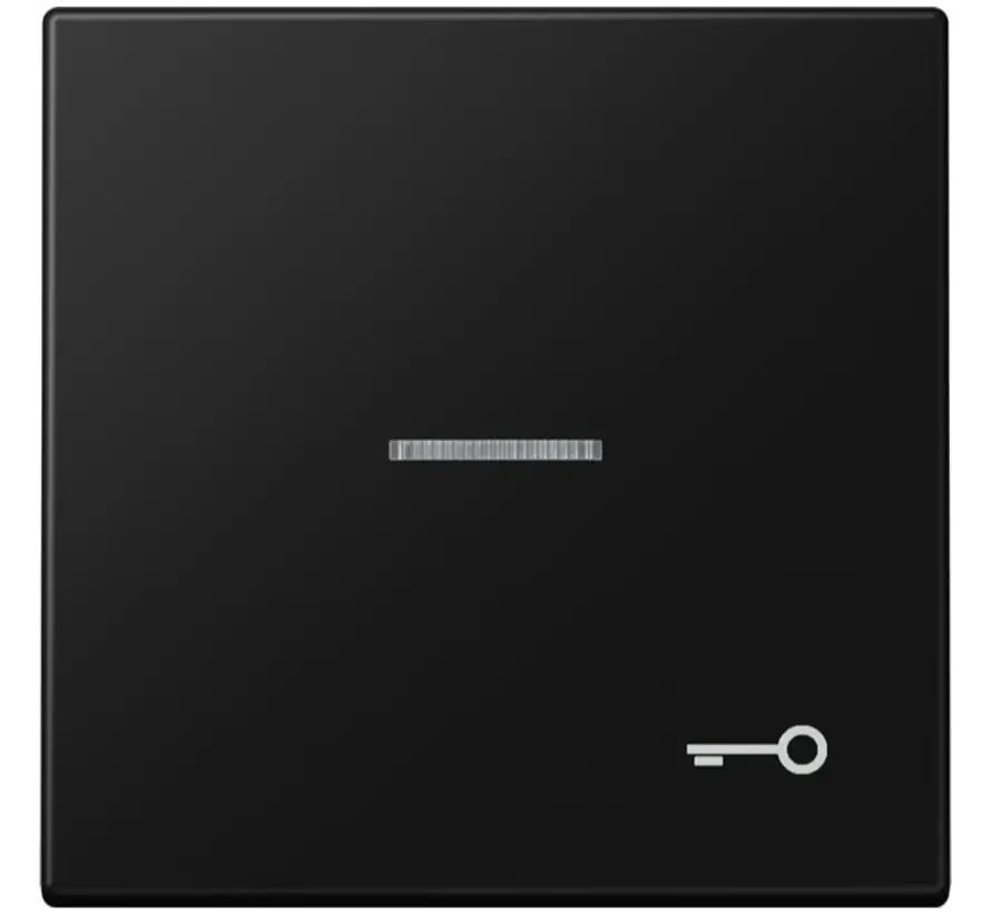 Wippe symbol Schlüssel Kontrollfenster LS990 graphitschwarz matt (LS 990 KO5 T SWM)