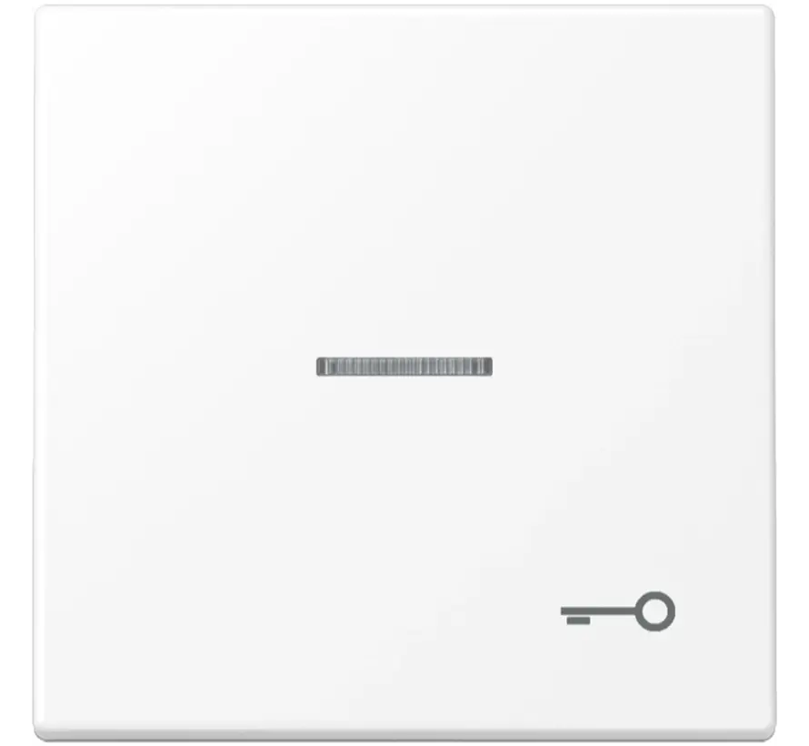 Wippe symbol Schlüssel Kontrollfenster LS990 schneeweiß matt (LS 990 KO5 T WWM)