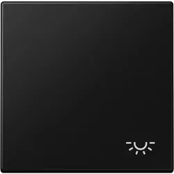 JUNG Wippe symbol Licht LS990 graphitschwarz matt (LS 990 L SWM)