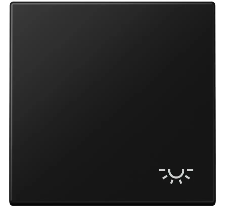 Wippe symbol Licht LS990 graphitschwarz matt (LS 990 L SWM)