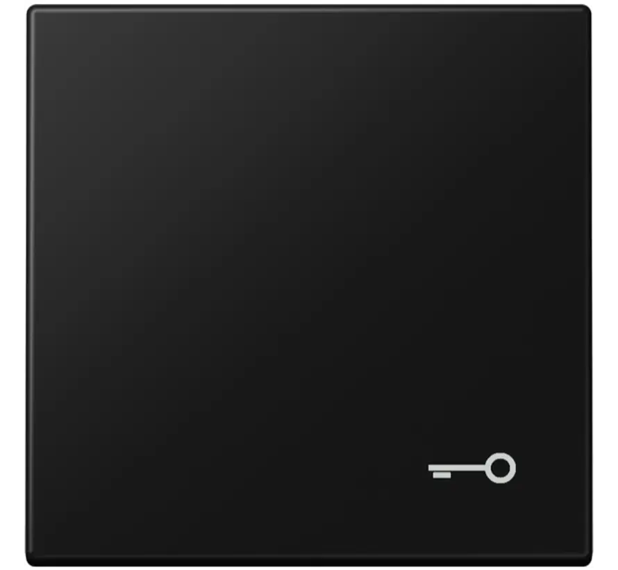 Wippe symbol Schlüssel LS990 graphitschwarz matt (LS 990 T SWM)