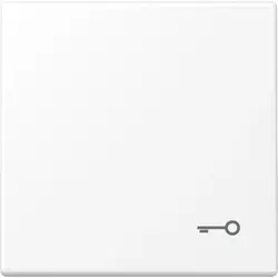 JUNG Wippe symbol Schlüssel LS990 schneeweiß matt (LS 990 T WWM)