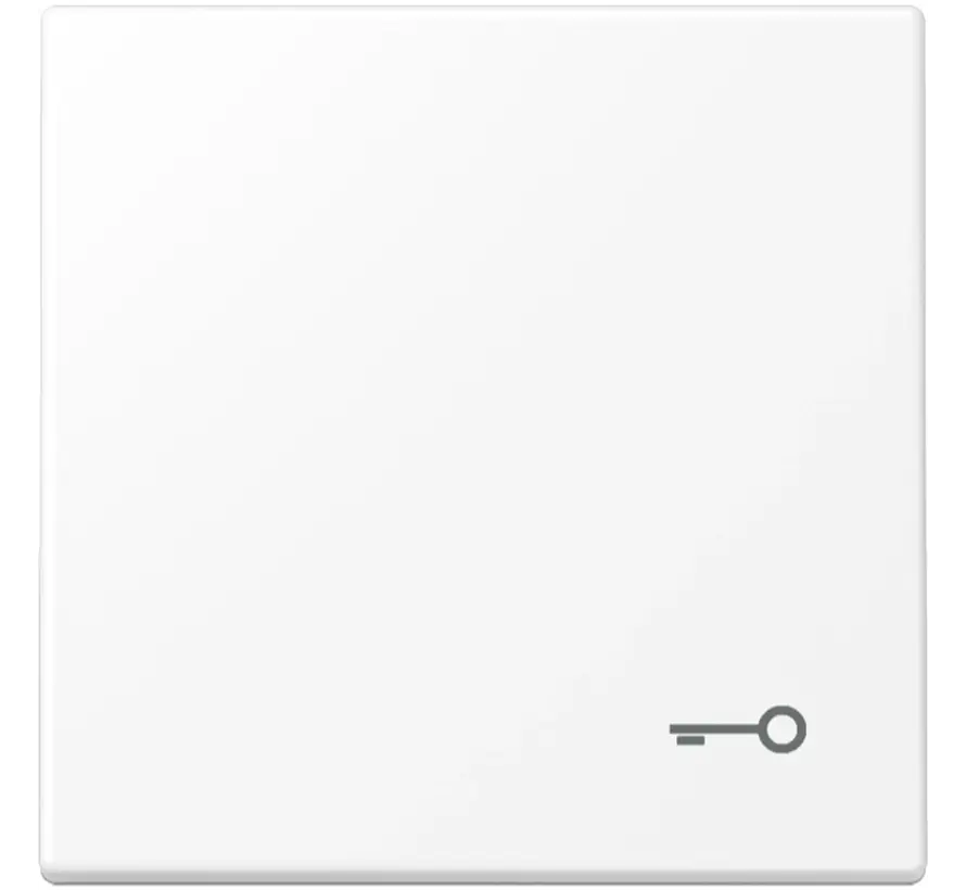 Wippe symbol Schlüssel LS990 schneeweiß matt (LS 990 T WWM)