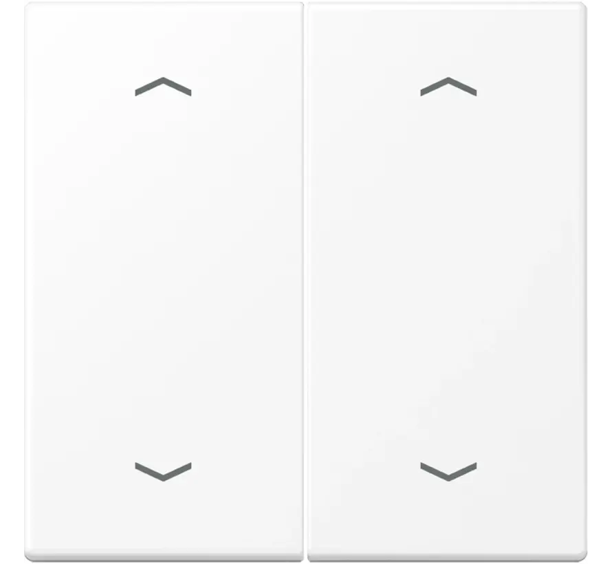 Wippe 2-fach mit pfeilsymbole LS990 schneeweiß matt (LS 995 MP WWM)