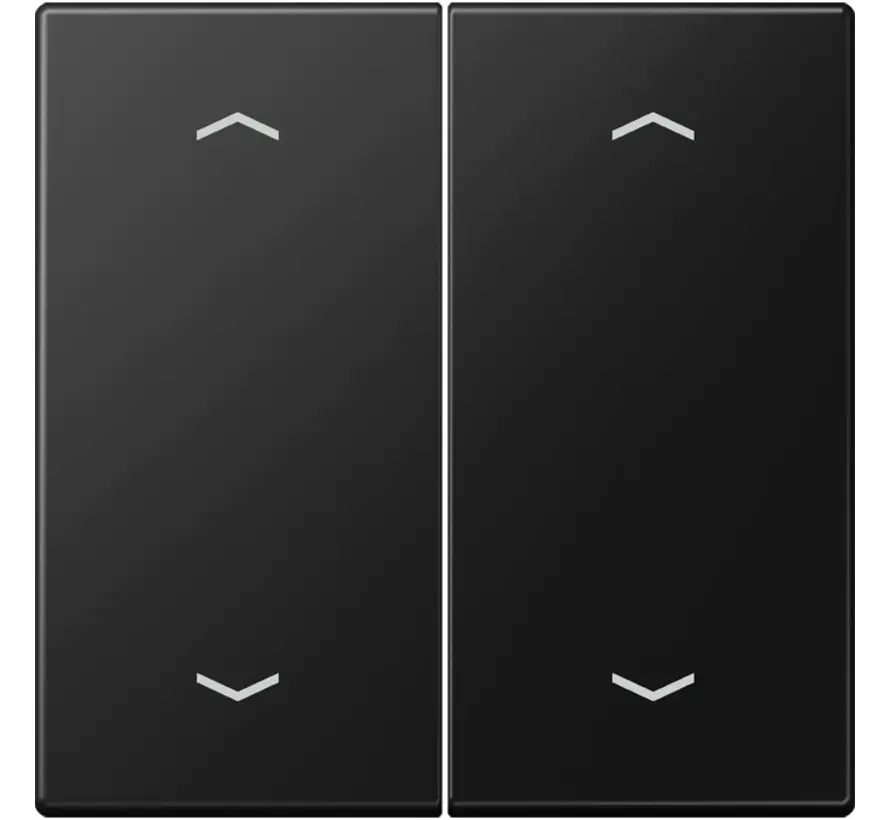 Wippe 2-fach mit pfeilsymbole LS990 graphitschwarz matt (LS 995 MP SWM)