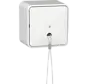 Aufputz-Zugschalter mit interner Montageplatte 10A weiß (314613)