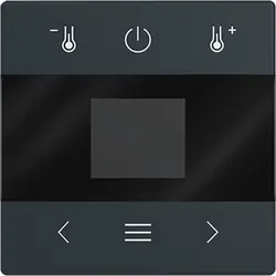 Busch-Jaeger Zentralplatte für Raumthermostat mit Display und Bluetooth Future Linear anthrazit glänzend (1794 MDRT-81)