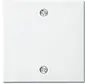 Zentralplatte für Zugschalter 2610/6U Balance SI weiß glänzend (1796-914)
