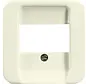 Zentralplatte USB / Lautsprecher Standard SI (2539-212)