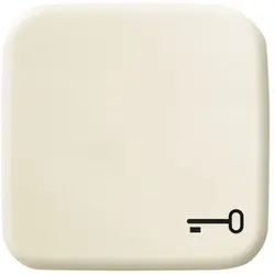 Busch-Jaeger Wippe symbol Tür Standard SI (2520 TR-212)