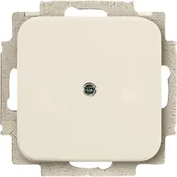 Busch-Jaeger Blindabdeckung mit Tragplatte Standard SI (2538-212)