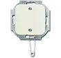 Zugschalter inkl. Zentralplatte Standard SI ohne Befestigungskrallen (2610/6 UC-212-503)