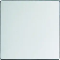 Busch-Jaeger Friends of Hue Wippe 1-fach Future Linear Alusilber (6735 BT-83)