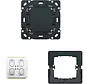 Bluetooth Wandsender-Einsatz 2-Kanal für Future Linear (6716 UBT)