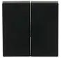 Friends of Hue Bedienwippe 2-fach Future Linear schwarz matt (6736 FoH-885)
