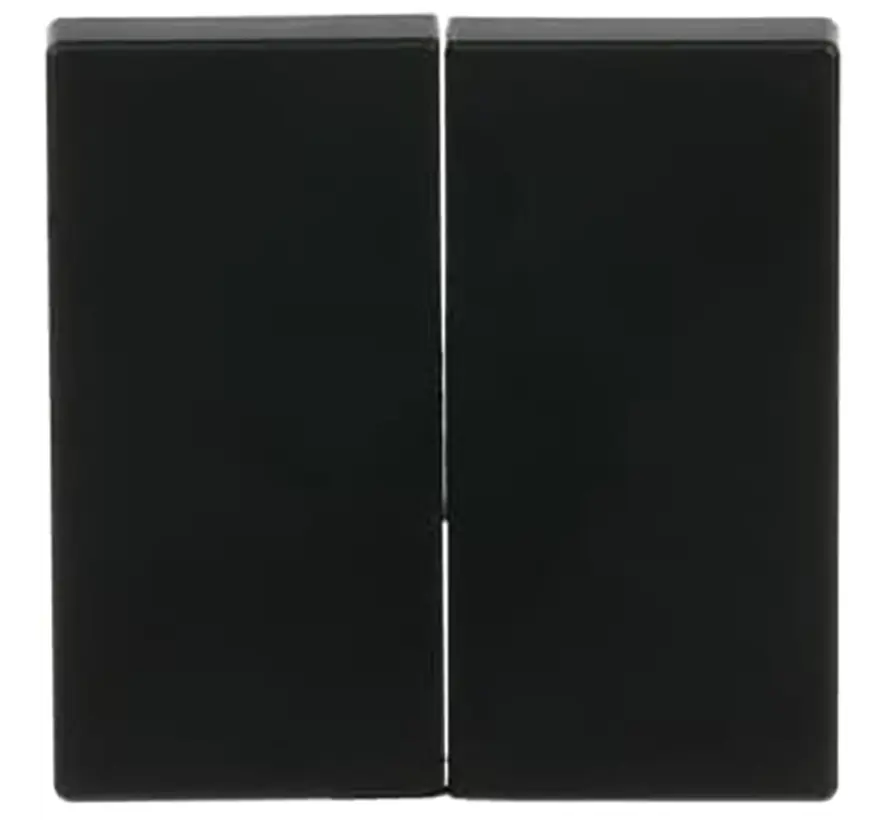 Friends of Hue Bedienwippe 2-fach Future Linear schwarz matt (6736 FoH-885)