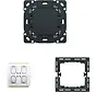 Bluetooth Wandsender-Einsatz  2-Kanal für Balance SI (6716/01 UBT)