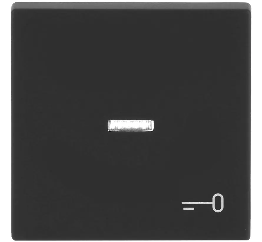 Wippe Kontrollfenster symbol Tür Future Linear anthrazit glänzend (1789 TR-81)
