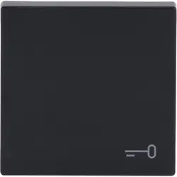 Busch-Jaeger Wippe symbol Tür Future Linear anthrazit glänzend (2520 TR-81)