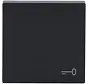 Wippe symbol Tür Future Linear anthrazit glänzend (2520 TR-81)