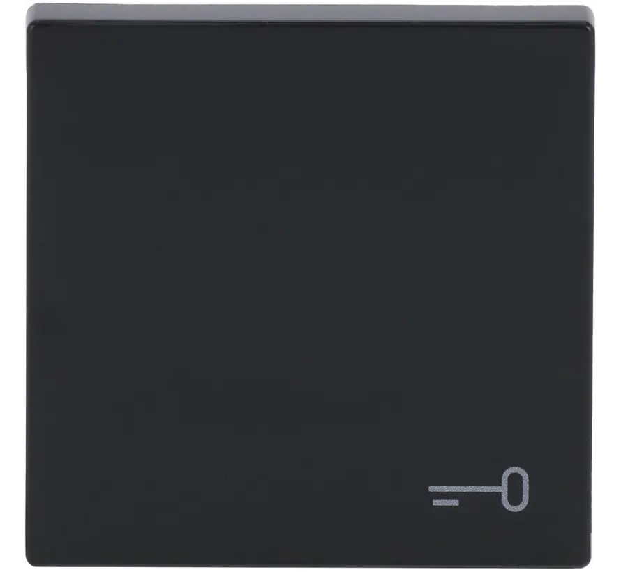 Wippe symbol Tür Future Linear anthrazit glänzend (2520 TR-81)