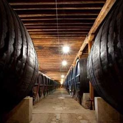 Azienda Agricola Giol