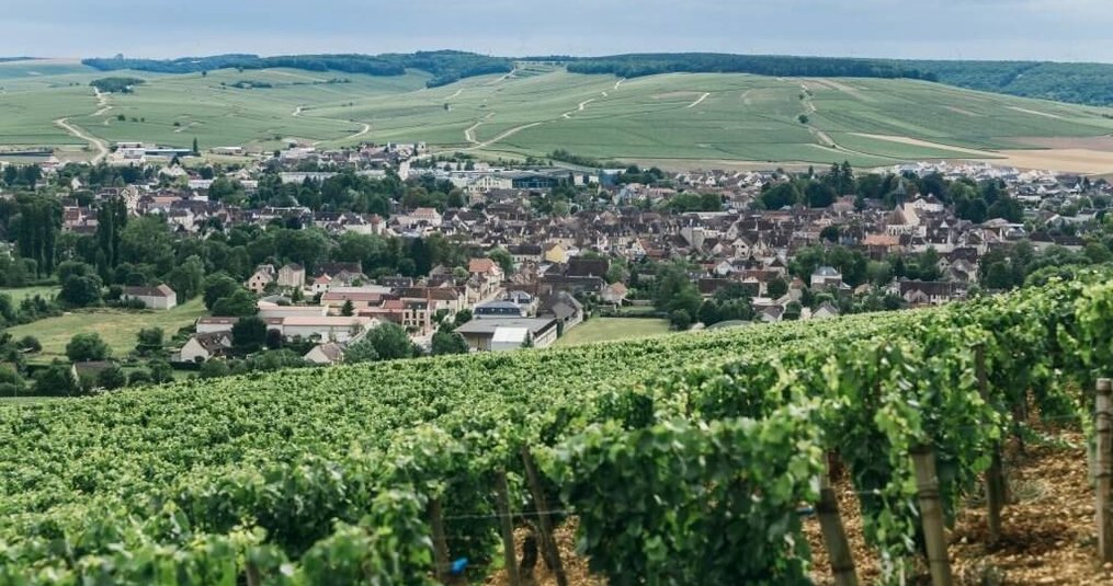 Chablis wijnen