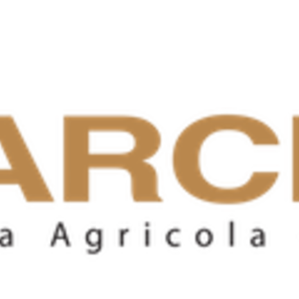 Marchetti