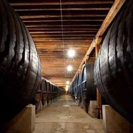 Azienda Agricola Giol