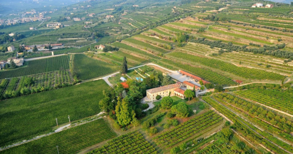 Olijven, Truffels en Valpolicella