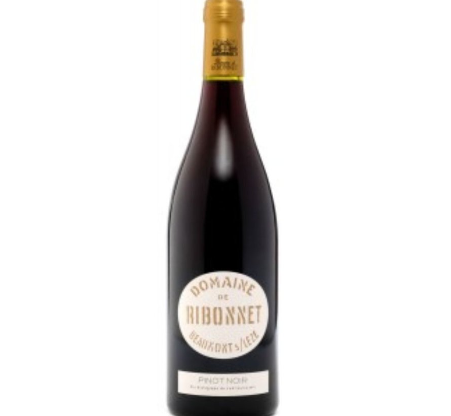 Pinot Noir-2020-Ribonnet