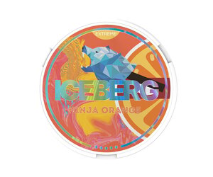 iceberg-iceberg-extreme-ninja-