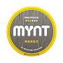 MYNT Mango Medium