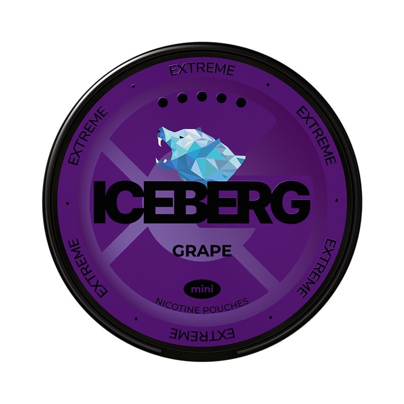 ICEBERG Grape Mini