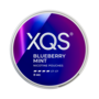 XQS Blueberry Mint