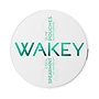 WAKEY Cool Spearmint | Nicotinevrij