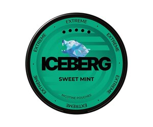 ICEBERG ICEBERG Sweet Mint