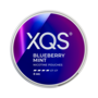 XQS Blueberry Mint