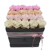 Long Life Box Light Mix