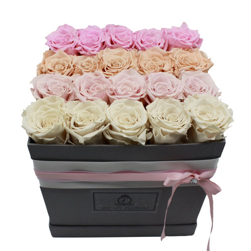 Long Life Box Light Mix