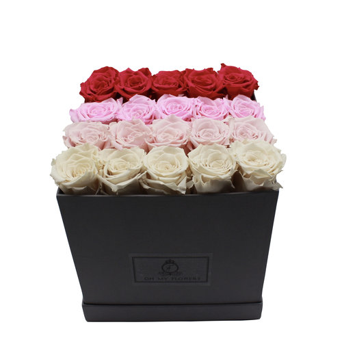 Long Life Box Colorful mix